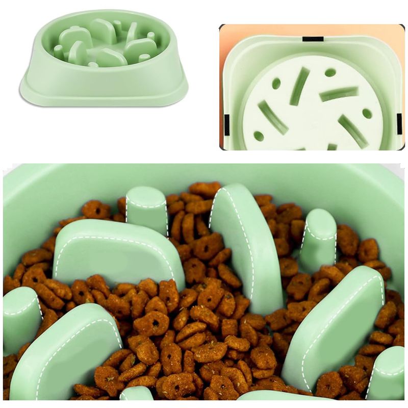 Qinhul Gamelle pour chien slow food