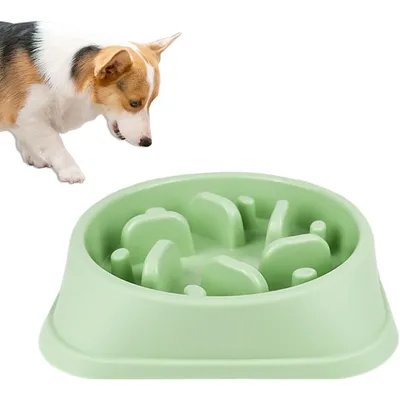 Qinhul Gamelle pour chien slow food