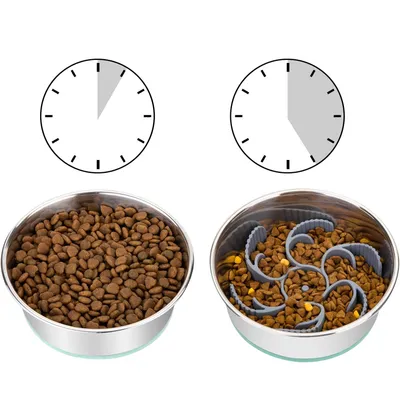 Qinhul Doublure de gamelle pour chien à alimentation lente