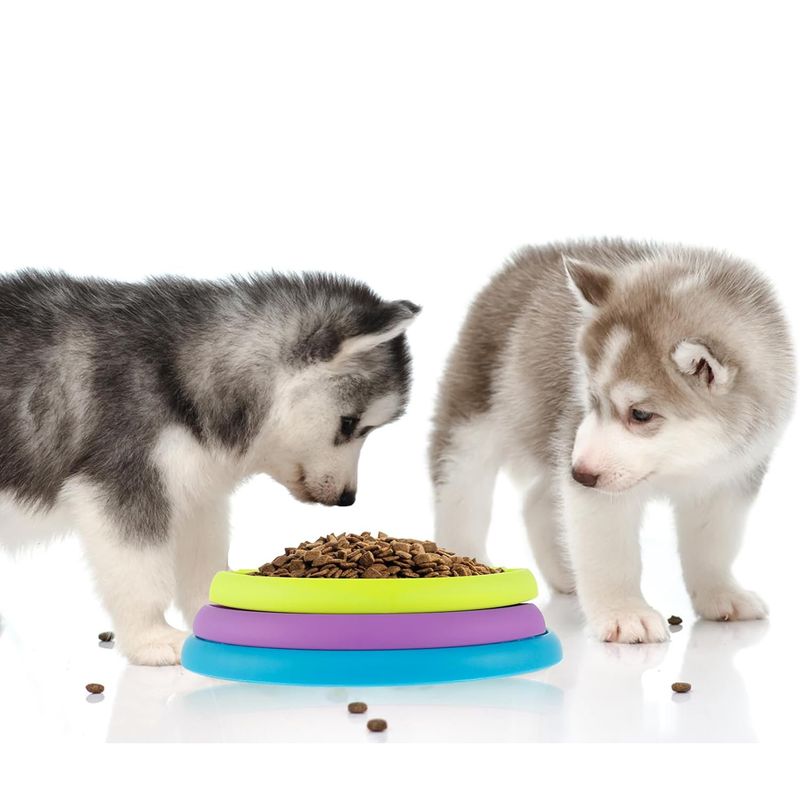 Qinhul Distributeur de friandises pour chiots