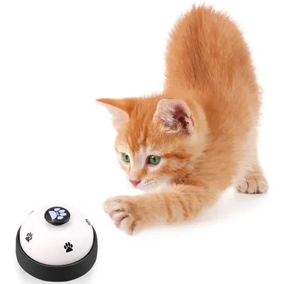 Qinhul Cloche de dressage pour chien