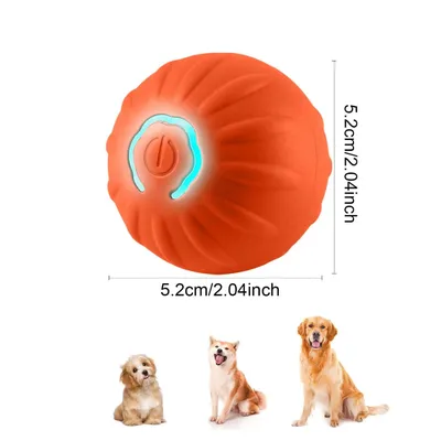 Qinhul Balle interactive pour chien