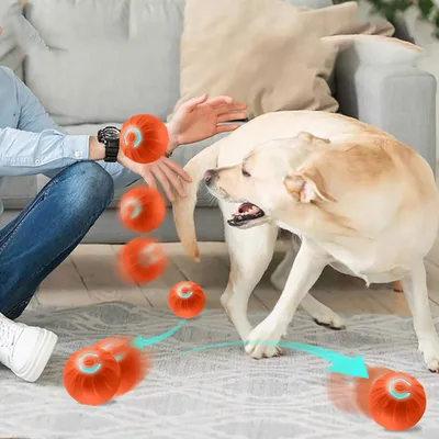 Qinhul Balle interactive pour chien