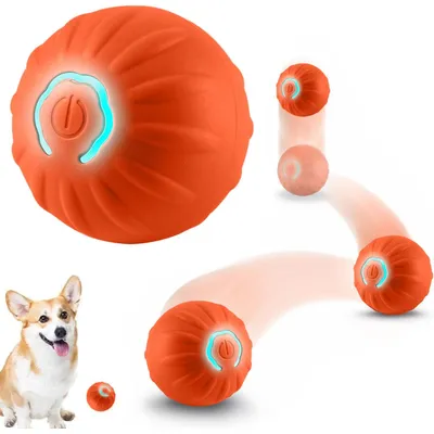 Qinhul Balle interactive pour chien