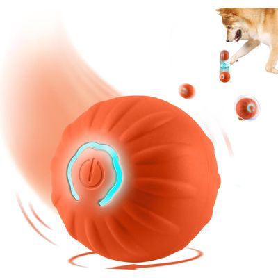 Qinhul Balle interactive pour chien