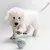 Balle interactive intelligente pour chien