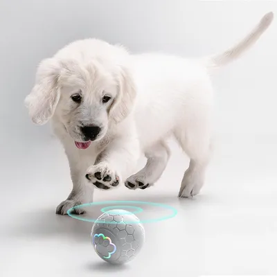 Balle interactive intelligente pour chien