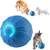 Qinhul Balle interactive pour chien