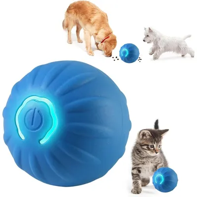 Qinhul Balle interactive pour chien