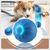 Qinhul Balle interactive pour chien