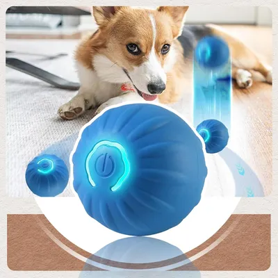 Qinhul Balle interactive pour chien