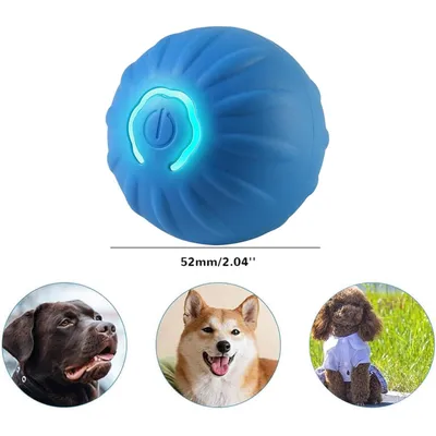 Qinhul Balle interactive pour chien