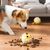 Qinhul Jouets interactifs pour chiens