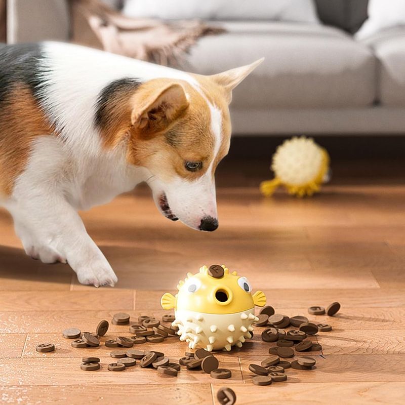 Qinhul Jouets interactifs pour chiens