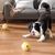 Qinhul Jouets interactifs pour chiens