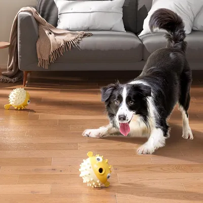 Qinhul Jouets interactifs pour chiens