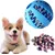 Qinhul Balle jouet pour chien