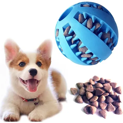 Qinhul Balle jouet pour chien