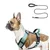 Qinhul Harnais et laisse pour chien