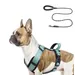 Qinhul Harnais et laisse pour chien