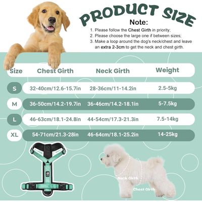 Qinhul Harnais et laisse pour chien