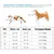 Qinhul Harnais et laisse respirants pour chien