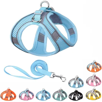 Qinhul Harnais et laisse respirants pour chien