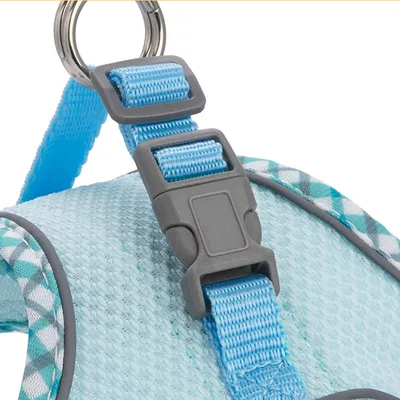 Qinhul Harnais et laisse respirants pour chien