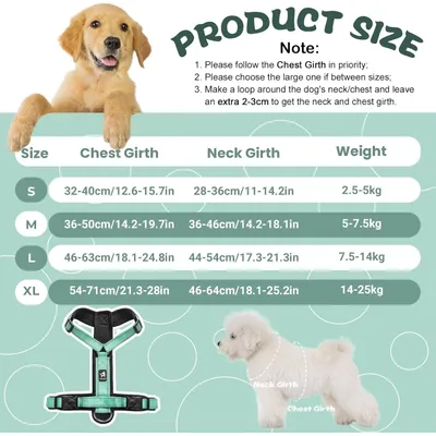 Qinhul Harnais et laisse pour chien