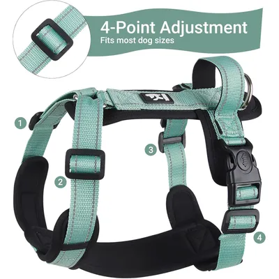 Qinhul Harnais et laisse pour chien