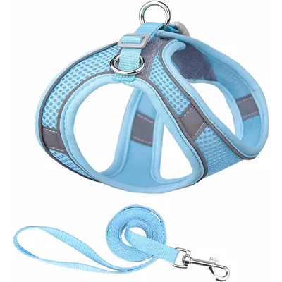 Qinhul Harnais et laisse respirants pour chien