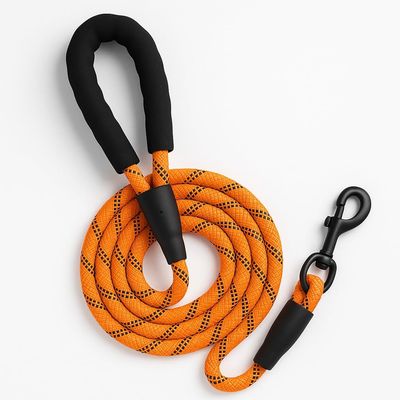 Qinhul Laisse réfléchissante pour chien