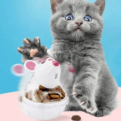 Qinhul Jouets distributeurs de friandises pour chats