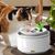 Qinhul Jouets de chat à poisson électrique électrique