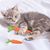 Qinhul Jouets de chat interactifs carottes
