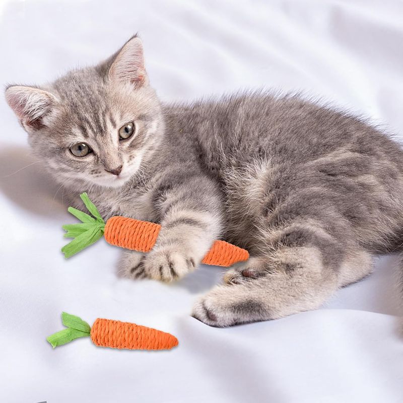 Qinhul Jouets de chat interactifs carottes