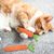 Qinhul Jouets de chat interactifs carottes