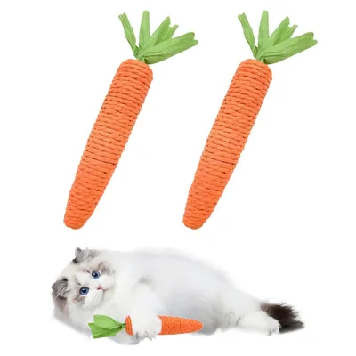 Qinhul Jouets de chat interactifs carottes Qinhul Jouets de chat interactifs carottes