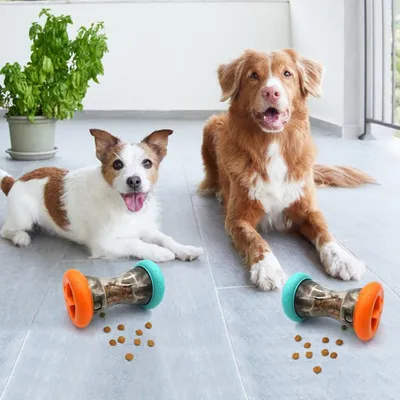 Qinhul Boule de fuite de nourriture pour chien