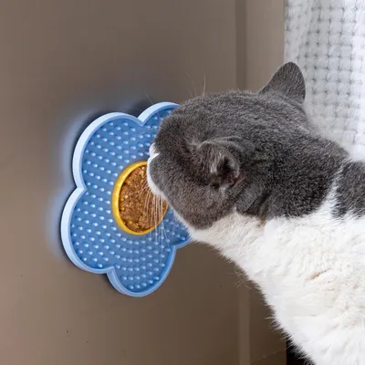 Qinhul Tapis à lécher pour chat et chien