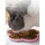 Qinhul Tapis à lécher pour chat et chien