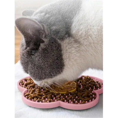 Qinhul Tapis à lécher pour chat et chien