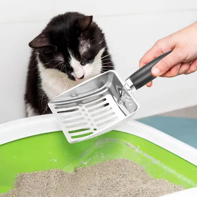 Qinhul Pelle à litière en métal pour chat