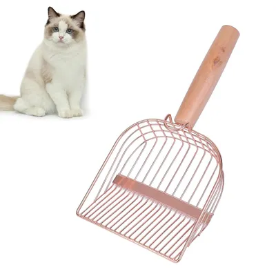 Qinhul Pelle à litière pour chat en acier inoxydable