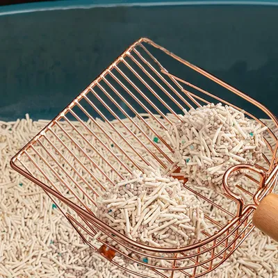 Qinhul Pelle à litière pour chat en acier inoxydable