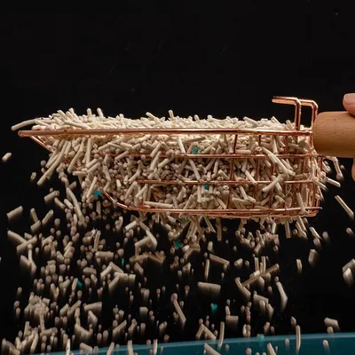 Qinhul Pelle à litière pour chat en acier inoxydable