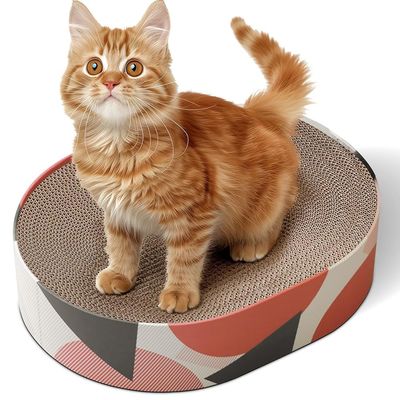 Planche à gratter ovale pour chat