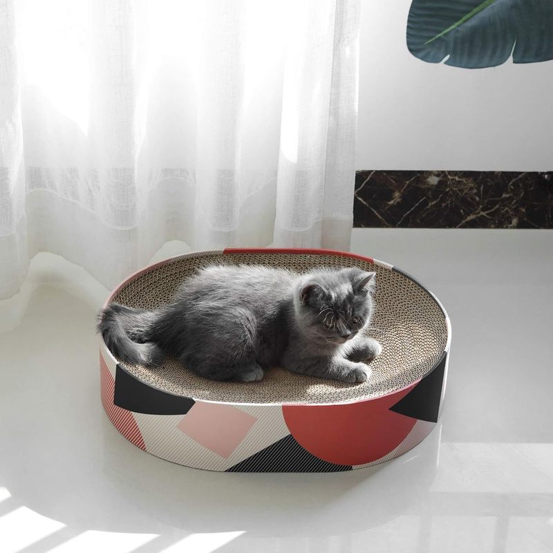 Planche à gratter ovale pour chat