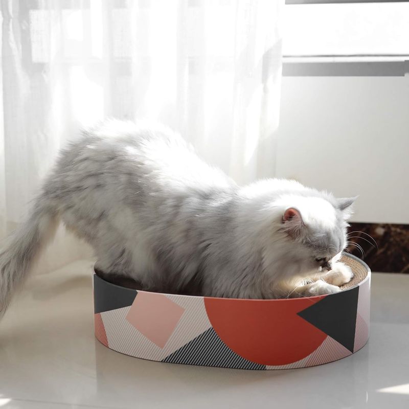 Planche à gratter ovale pour chat