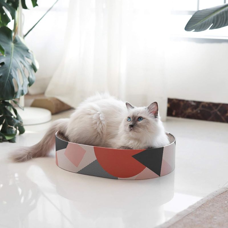 Planche à gratter ovale pour chat